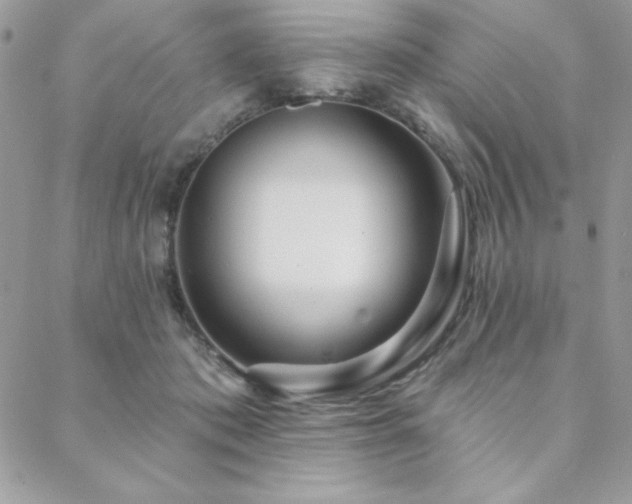 X0000088630413200705251437