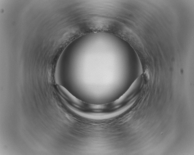 X0000088630416200705251437