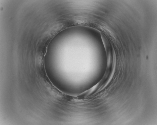 X0000088630417200705251437
