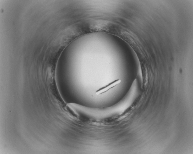 X0000088630420200705251437