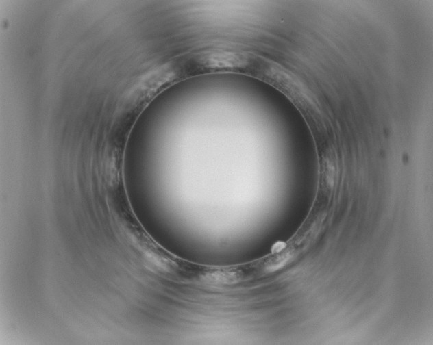 X0000088630422200705251437