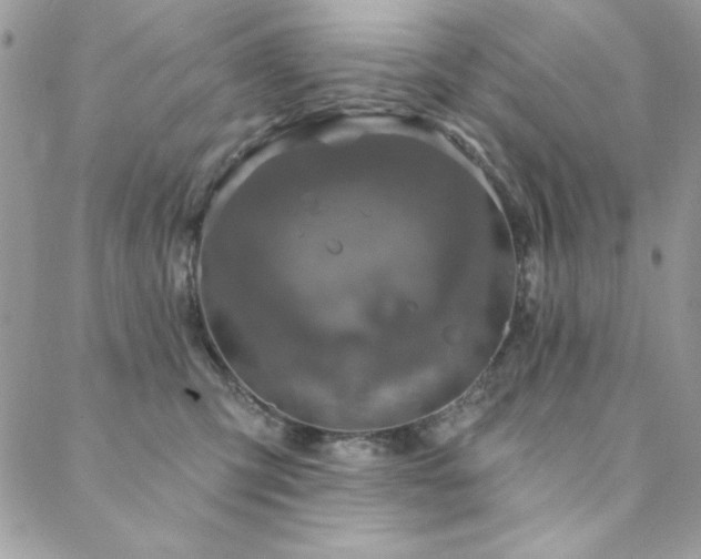 X0000088630423200705251437
