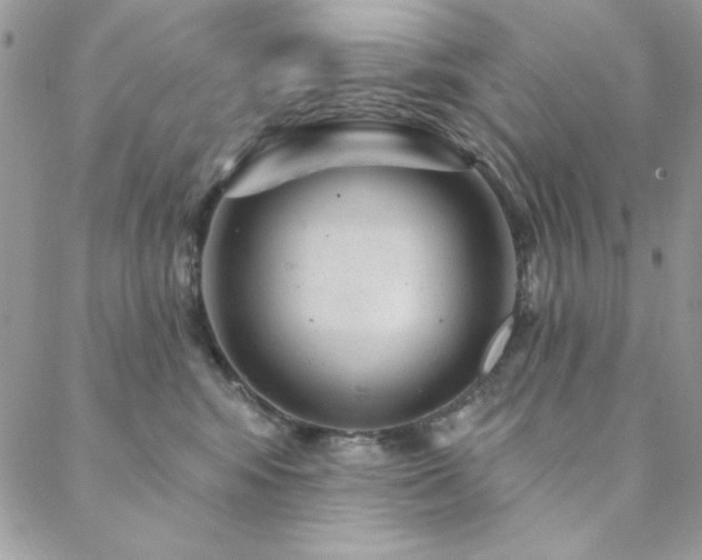X0000088630424200705251437