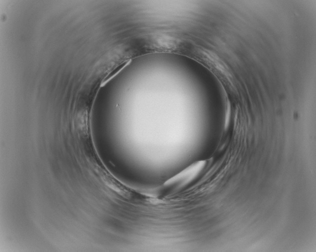 X0000088630425200705251437