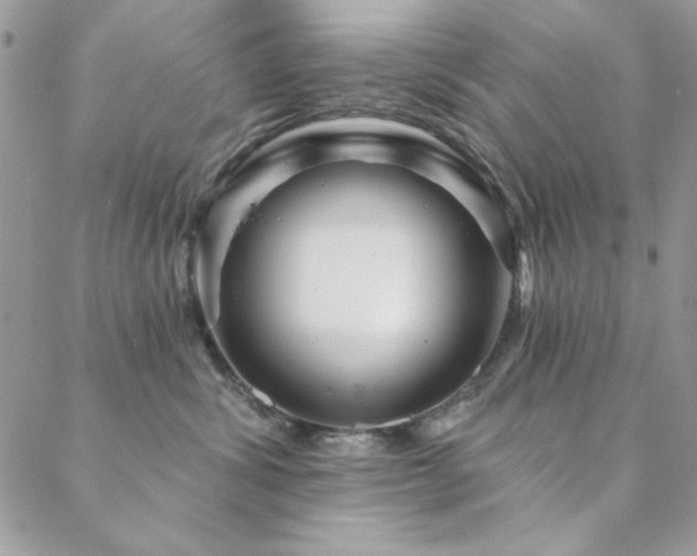 X0000088630428200705251437