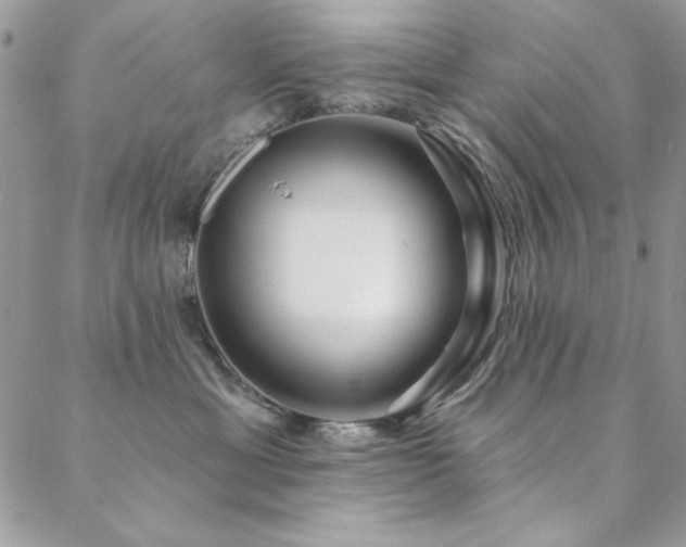 X0000088630429200705251437