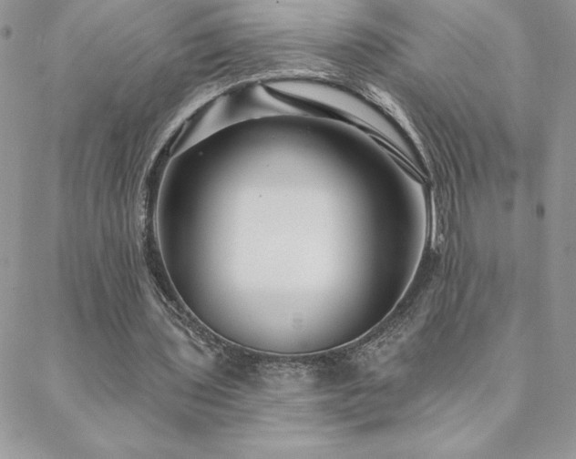 X0000088630435200705251436