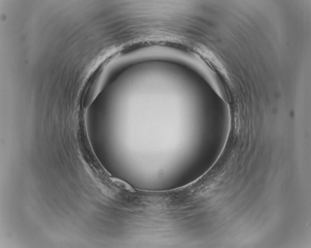 X0000088630436200705251436