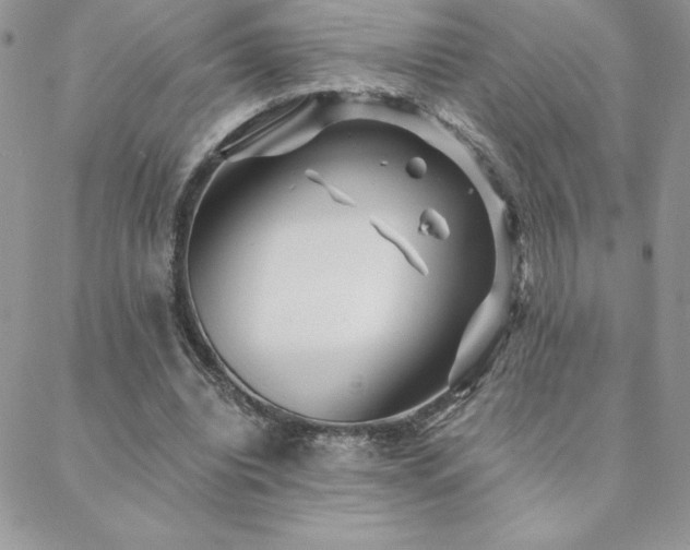 X0000088630440200705251436