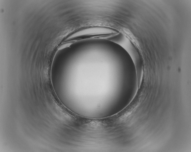 X0000088630441200705251436