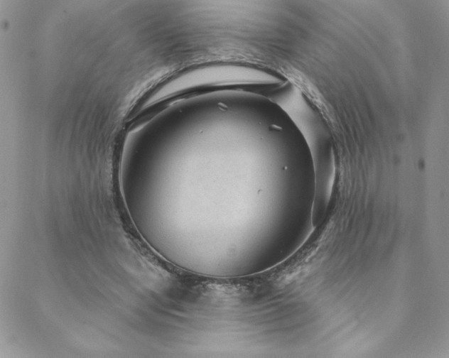 X0000088630442200705251436