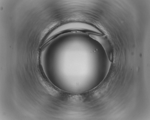 X0000088630446200705251436