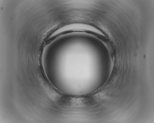 X0000088630450200705251437