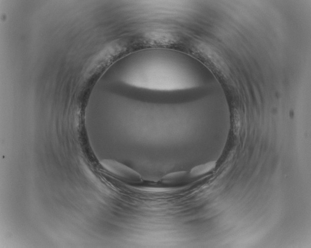 X0000088630451200705251437