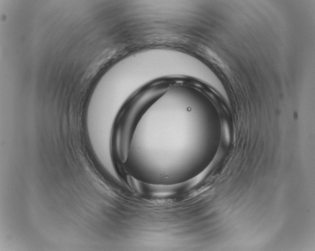 X0000088630452200705251437