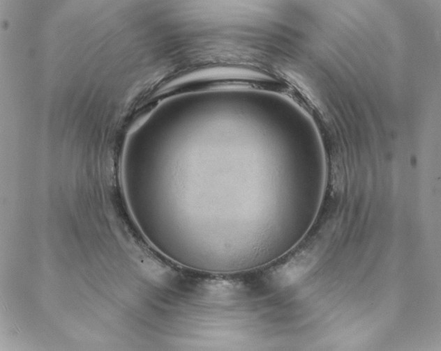 X0000088630453200705251437