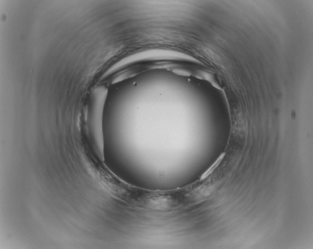 X0000088630456200705251437