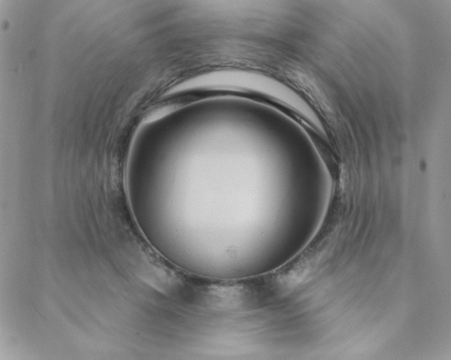X0000088630457200705251437