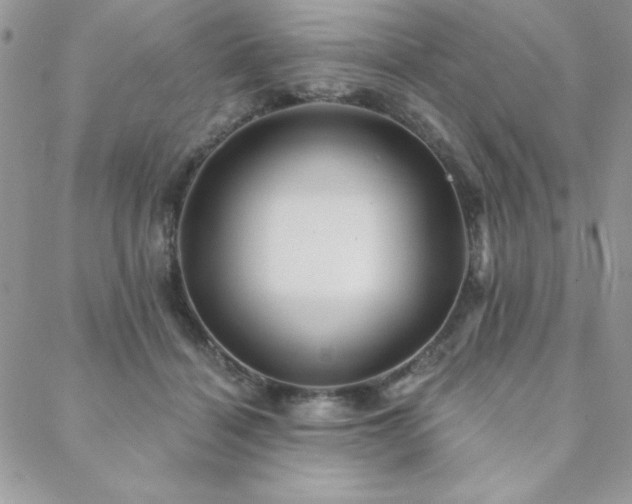 X0000088630460200705251437
