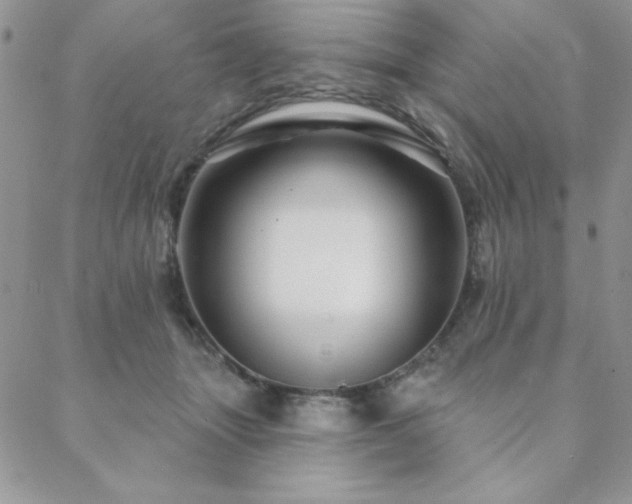 X0000088630463200705251437