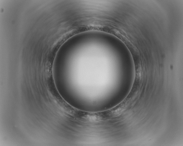 X0000088630464200705251437
