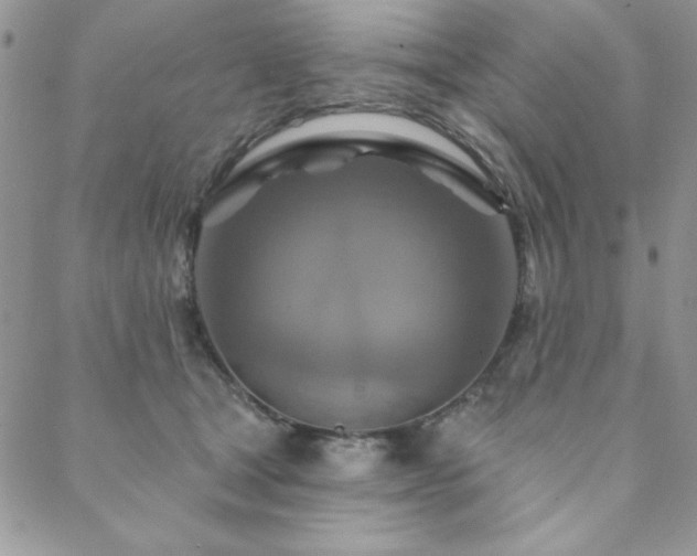 X0000088630465200705251437