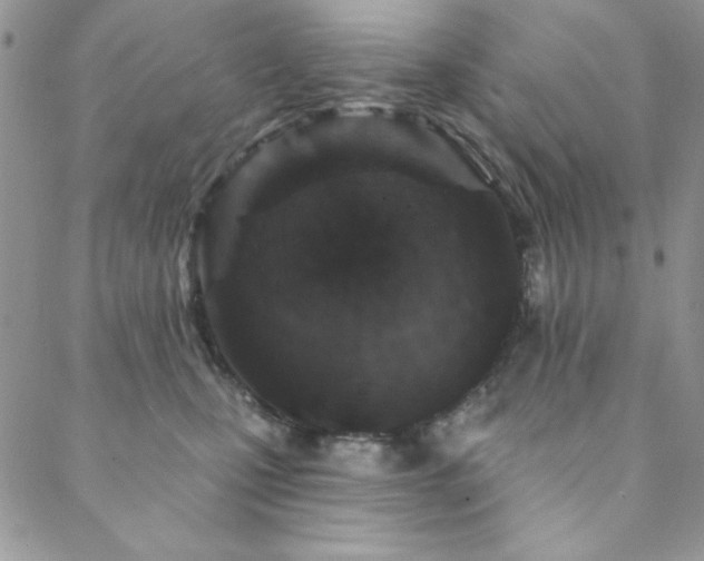 X0000088630471200705251437