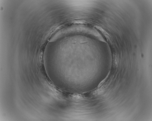X0000088630475200705251437