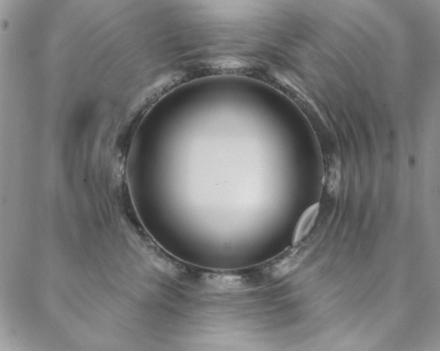 X0000088630476200705251437