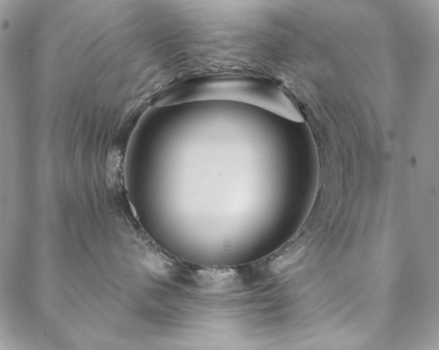 X0000088630480200705251437