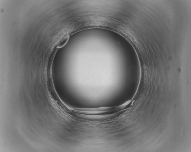X0000088630482200705251436
