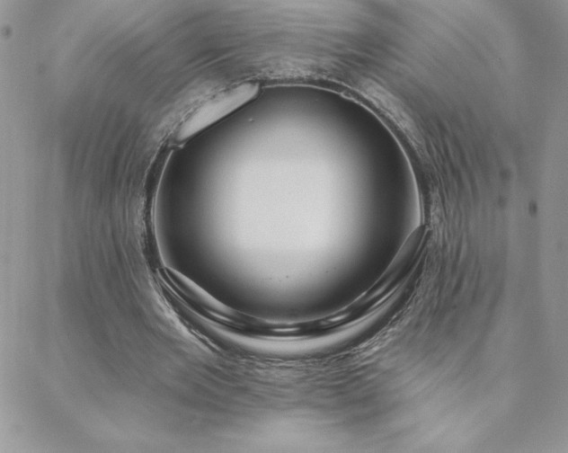 X0000088630485200705251436