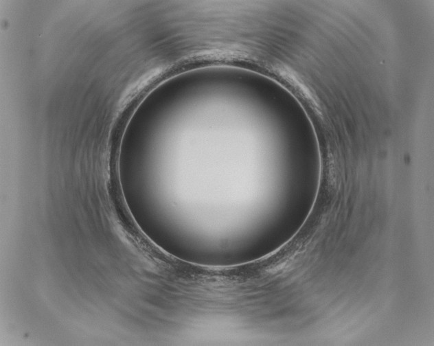 X0000088630486200705251436