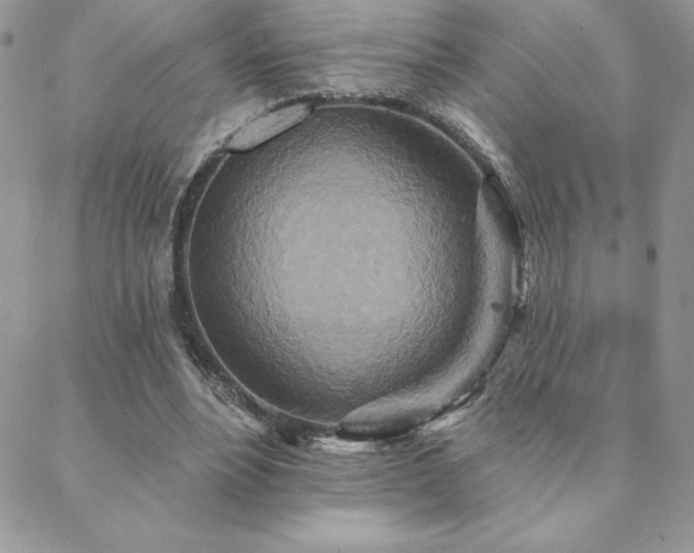 X0000088630488200705251436