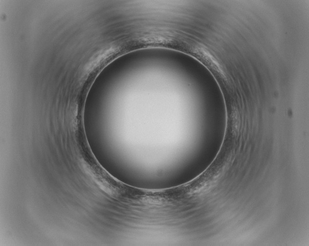 X0000088630490200705251436