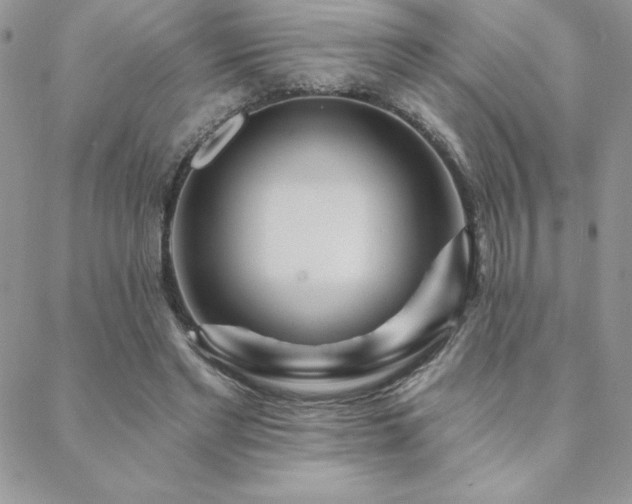 X0000088630493200705251436