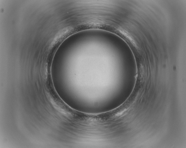 X0000088630494200705251436