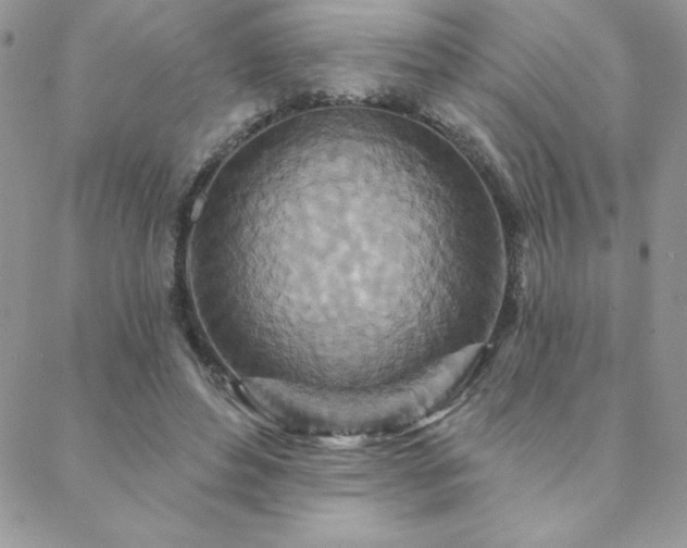 X0000088630496200705251436