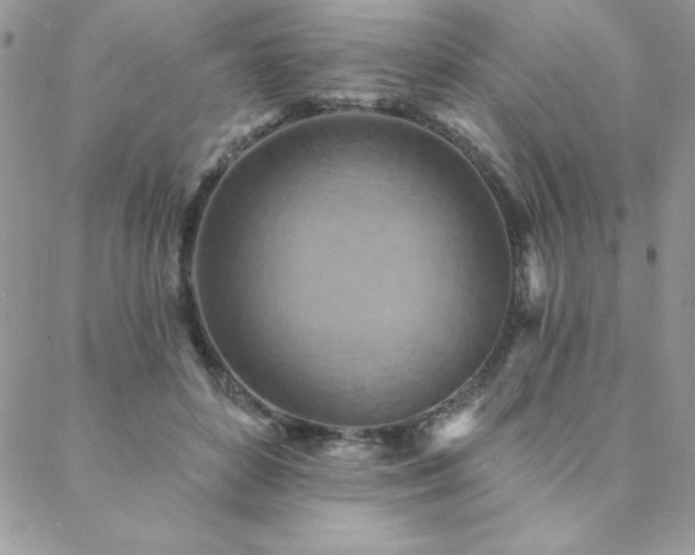 X0000088630504200705251436