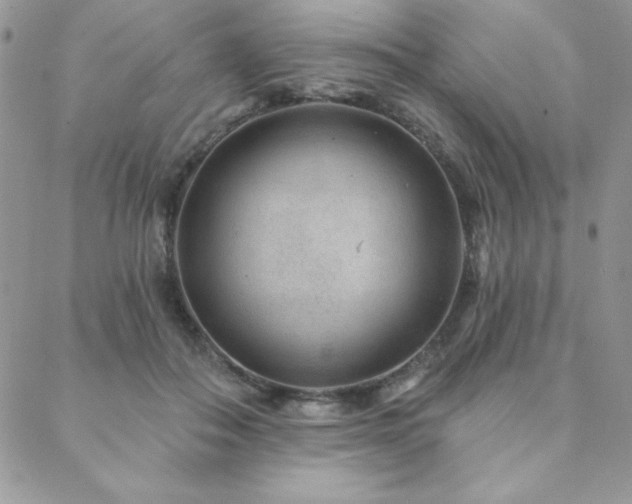 X0000088630506200705251436