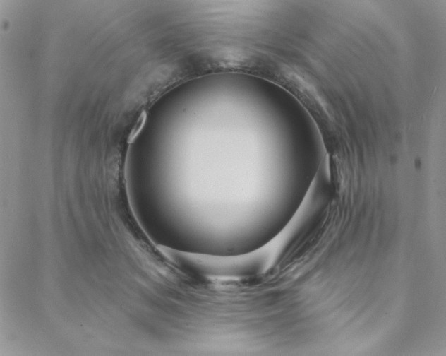 X0000088630509200705251436