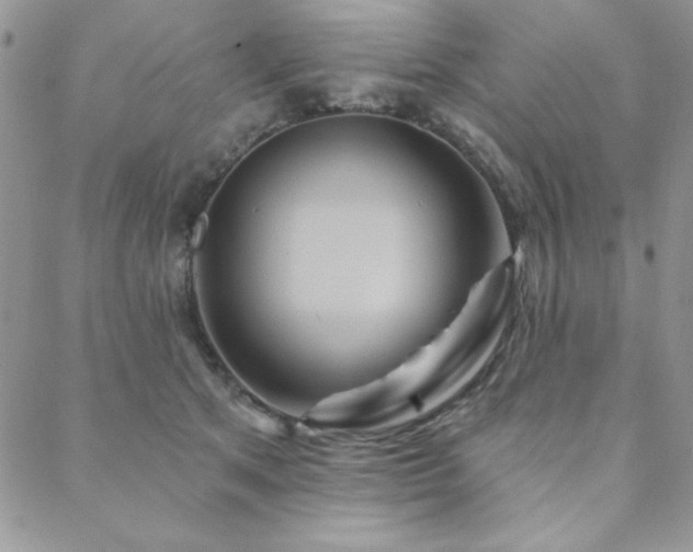 X0000088630513200705251436