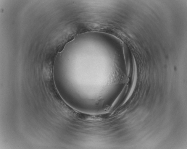X0000088630515200705251436