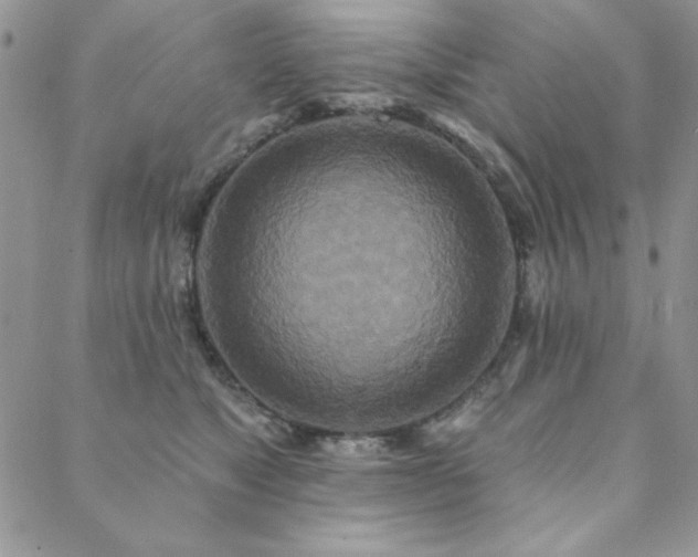 X0000088630517200705251436