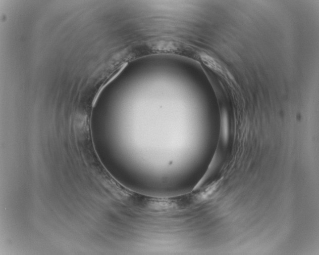 X0000088630521200705251436