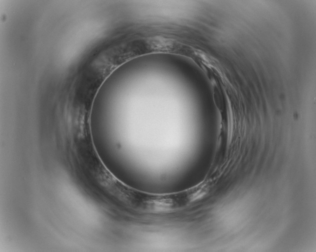 X0000088630525200705251436