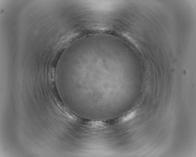 X0000088630528200705251435