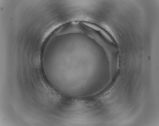 X0000088630531200705251435
