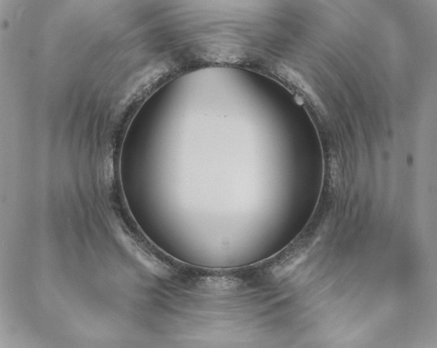 X0000088630541200705251435