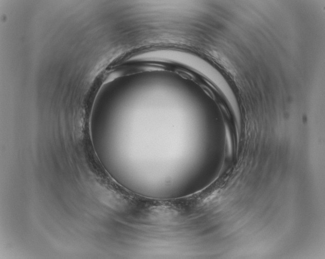 X0000088630544200705251435